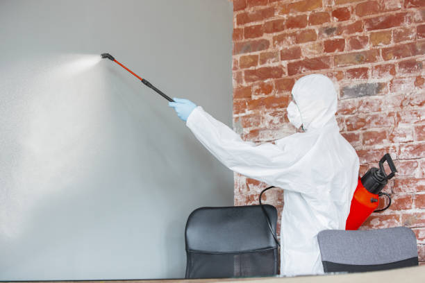 Best Mold Remediation for Healthcare Facilities  in Ballville, OH