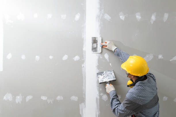  Ballville, OH Mold Removal Pros