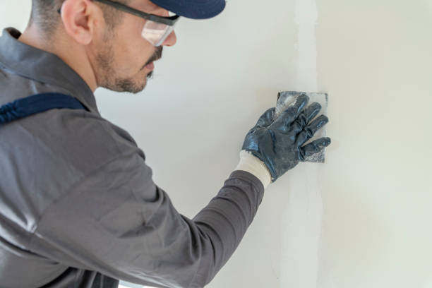 Best Mold Odor Removal Services  in Ballville, OH