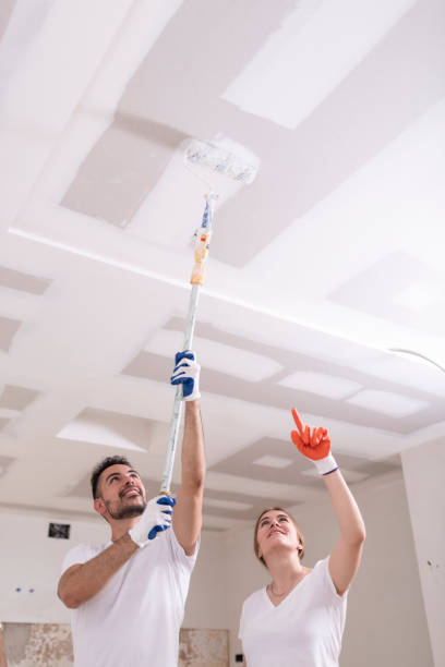 Best Attic Mold Removal  in Ballville, OH