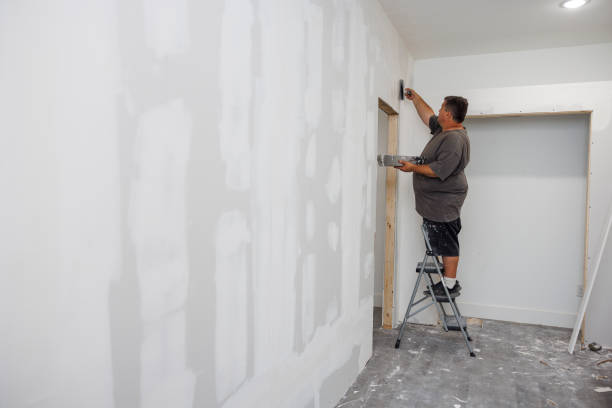 Mold Odor Removal Services in Ballville, OH