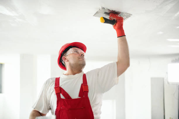Mold Documentation for Insurance Claims in Ballville, OH