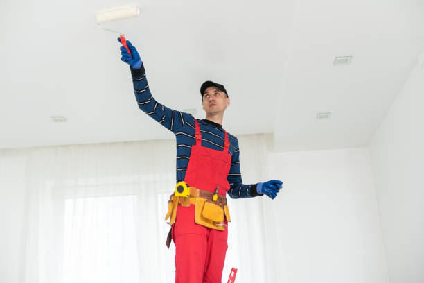 Best Comprehensive Air Testing for Mold Contaminants  in Ballville, OH