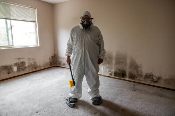 Mold Documentation for Insurance Claims in Ballville, OH