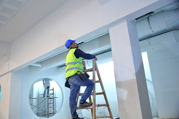 Best Attic Mold Removal  in Ballville, OH